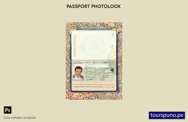 Plantilla de apariencia de foto de pasaporte de Argelia lista para imprimir